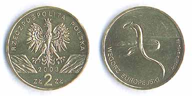 2 złote 2003 (Węgorz europejski.)